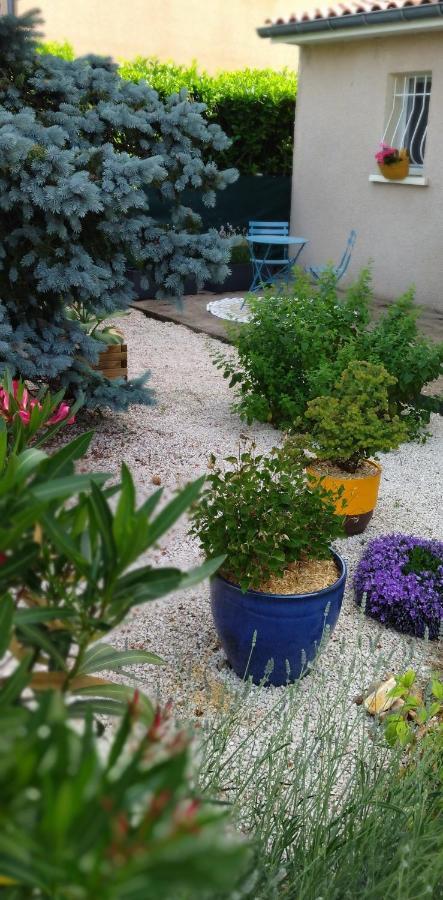 Fleurs De Cosmos Bed & Breakfast Albi Exterior photo