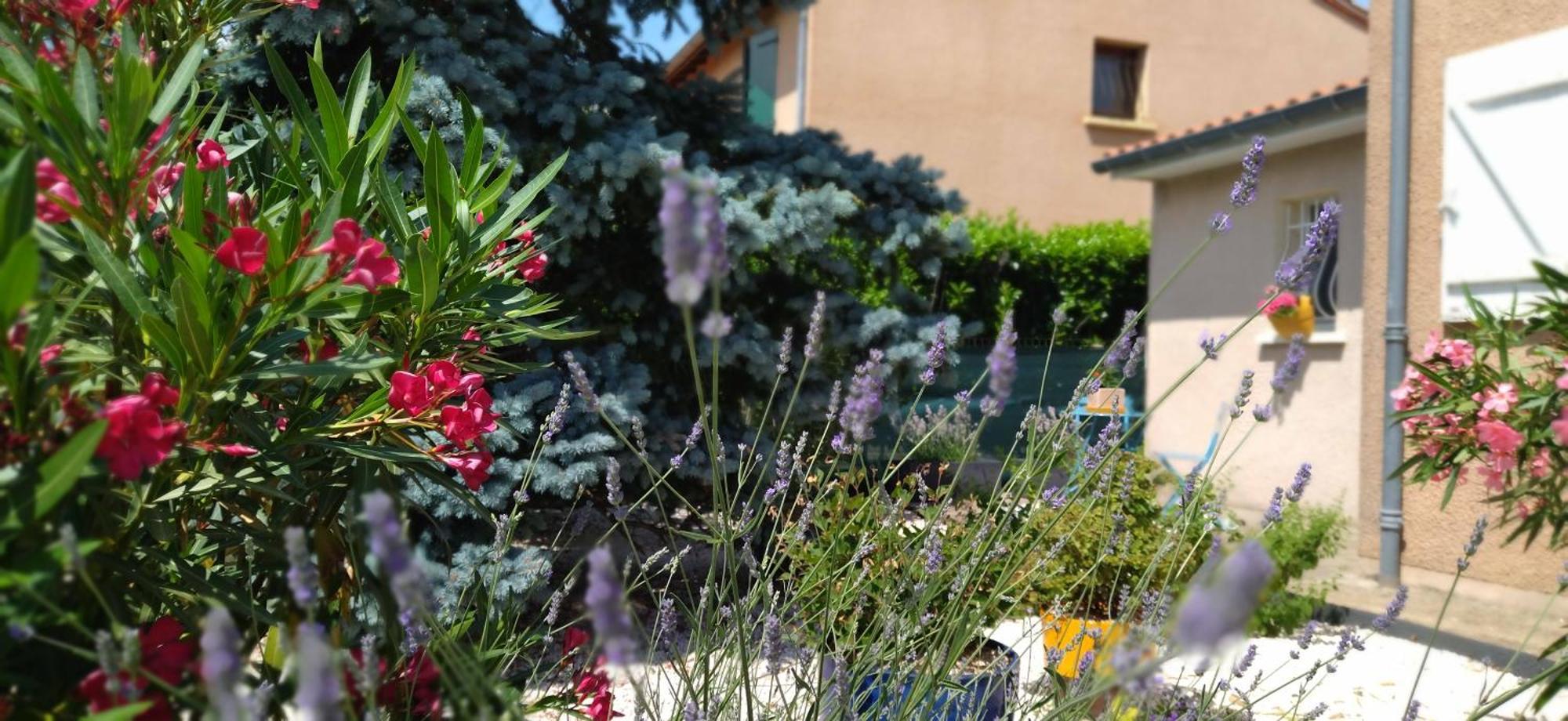 Fleurs De Cosmos Bed & Breakfast Albi Exterior photo